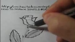 How to Draw a pretty rose for beginners