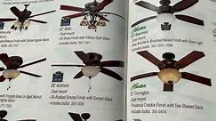 Ceiling Fan In The Menards 2014 Lighting Catalog