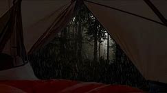Rain sounds on a tent with rumbling thunder sounds. Dripping rain in the woods. Sleep ASMR