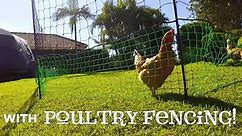 Poultry Fencing Made Easy