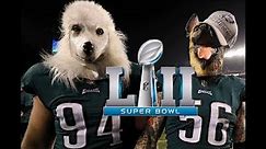 Philadelphia Eagles Super Bowl 52 *UNDERDOGS HYPE VIDEO*