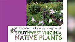 All the Dirt: Free resource on native plants