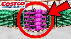 10 Things You SHOULD Be Buying at Costco in January 2023