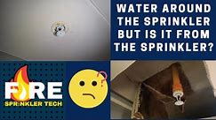 Is It Really The Fire Sprinkler Head Leaking???