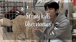 stray kids username ideas 🍀