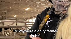 Yes farms exist in NY. Its -2° right now 🥺