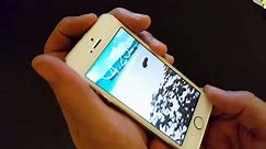 Iphone 5 - How to Fix Display that Wont Turn On - Black Screen - Nothing on Display