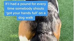 You’re not helping 🙃 #beagle #dogtok #dog #justgotrich