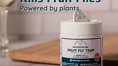 The NEW Fruit Fly Trap 🌿 Powered by Plants