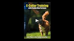 Robin MacFarlane's ECOLLAR TRAINING (from the 5 DVD Set)
