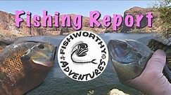 Canyon Lake Fishing Report - Arizona Salt River Fishing - Fishing in the HEAT!