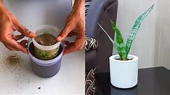 Making Small Cement Pot for Living Room | DIY Planters