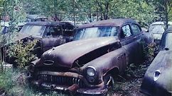 HUGE Lot of Old Abandoned Vintage Cars In The Woods
