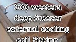 300 western deep freezer/#reels/#reelsfb/#deepfreezer /#trending | Simple solutions