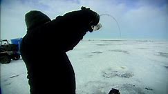 Ice Fishing Walleyes