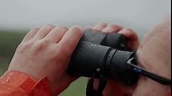 Nikon PROSTAFF P7 10x30 Waterproof Binocular for Adults | Small & Compact Travel Binoculars for Bird Watching | Binocular Harness Strap, Lens Pen Cleaning System, & Flashlight Bundle Set