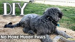 Muddy Yard Fix for Dog Paws tracking wet mud in house - DIY How to Solution Pine Shavings