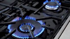 Lawsuit to block New York's ban on gas stoves is filed by gas and construction groups
