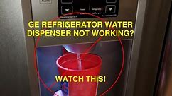 GE Refrigerator Water Filter Manifold Replacement