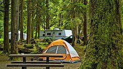 35 Best Smoky Mountain National Park Campgrounds & RV Parks