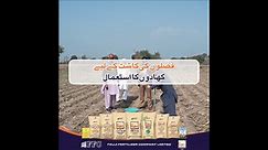 Free Soil Testing Facility by FFC