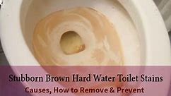 How to Remove Brown Hard Water Stains in Toilet Bowl Bottom & Walls - Toiletseek