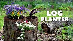 How to Make a LOG PLANTER for Your Garden | Various Methods