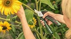 Battery Powered Cordless Secateurs and Pruners