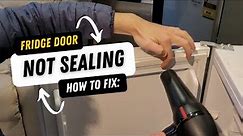 How to Fix Fridge Not Sealing with Hair Dryer 💨🤯