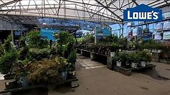 Lowes Garden Center Mid August 2023 Tour | Browse With Me | Zone 7a