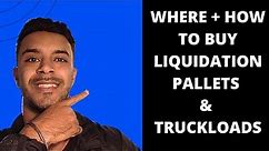 Online liquidation auction - Where and how I buy pallets & truckloads of overstock and return goods