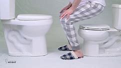 Convenient Height 2-Piece 1.28/.09 GPF Dual Flush Elongated 20 in. Extra Tall Toilet in White, Seat Included model S