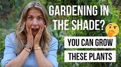 20 Plants You Can Grow in the Shade