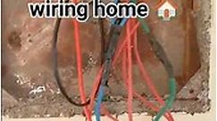 local electric ⚡🥹🤦 xpert elections electric lite fitting & home wiring #