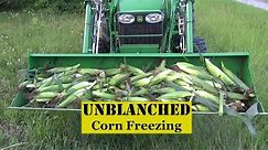 Freezing Corn On The Cob without Blanching | Useful Knowledge