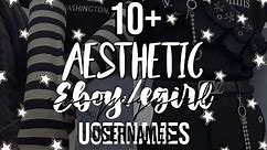 10+ aesthetic egirl/eboy usernames