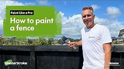 Paint like a Pro - How to paint a fence