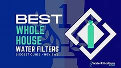 6 Best Whole House Water Filter Systems of 2024