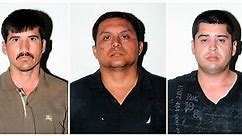 Mexico's cartel crackdown struggling despite victory?
