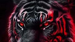 The most beautiful tiger screen wallpapers in high quality 4k 💥