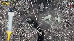 All out Attack!!! Ukrainian DJI Drones Drop 13 Bombs Aboves Russian Soldiers When Hiding In Trenches