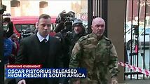 Oscar Pistorius: The Parole Saga of a Murderer