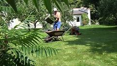 Man Cut Mow Lawn Cutter Mower Stock Footage Video (100% Royalty-free) 15609268 | Shutterstock