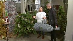 Martha Stewart Green or Flocked Natural Shape Christmas Tree on QVC