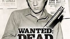 Wanted: Dead or Alive - streaming tv show online