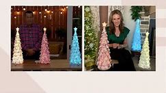 Martha Stewart 24" Illuminated Indoor/ Outdoor Tree with Star on QVC