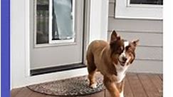 For Pet's Sake - Get A Hale Pet Door!