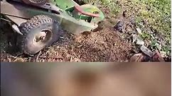 Stump grinder in action - using a stump grinder