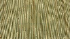 EDEN 1.8 x 3m Natural Bamboo Screen Fencing