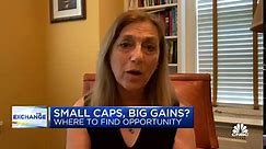 Watch CNBC’s full interview with Essex Investment Management's Nancy Prial